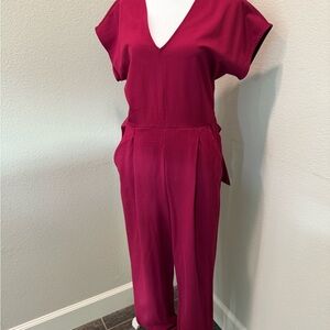 Express Plum V-Neck Jumpsuit